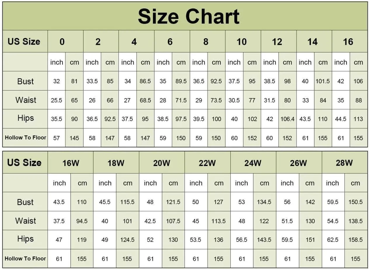 Chiffon Mother of The Bride Dresses with Sleeves V Neck Formal Dress for Women Long Evening Gown