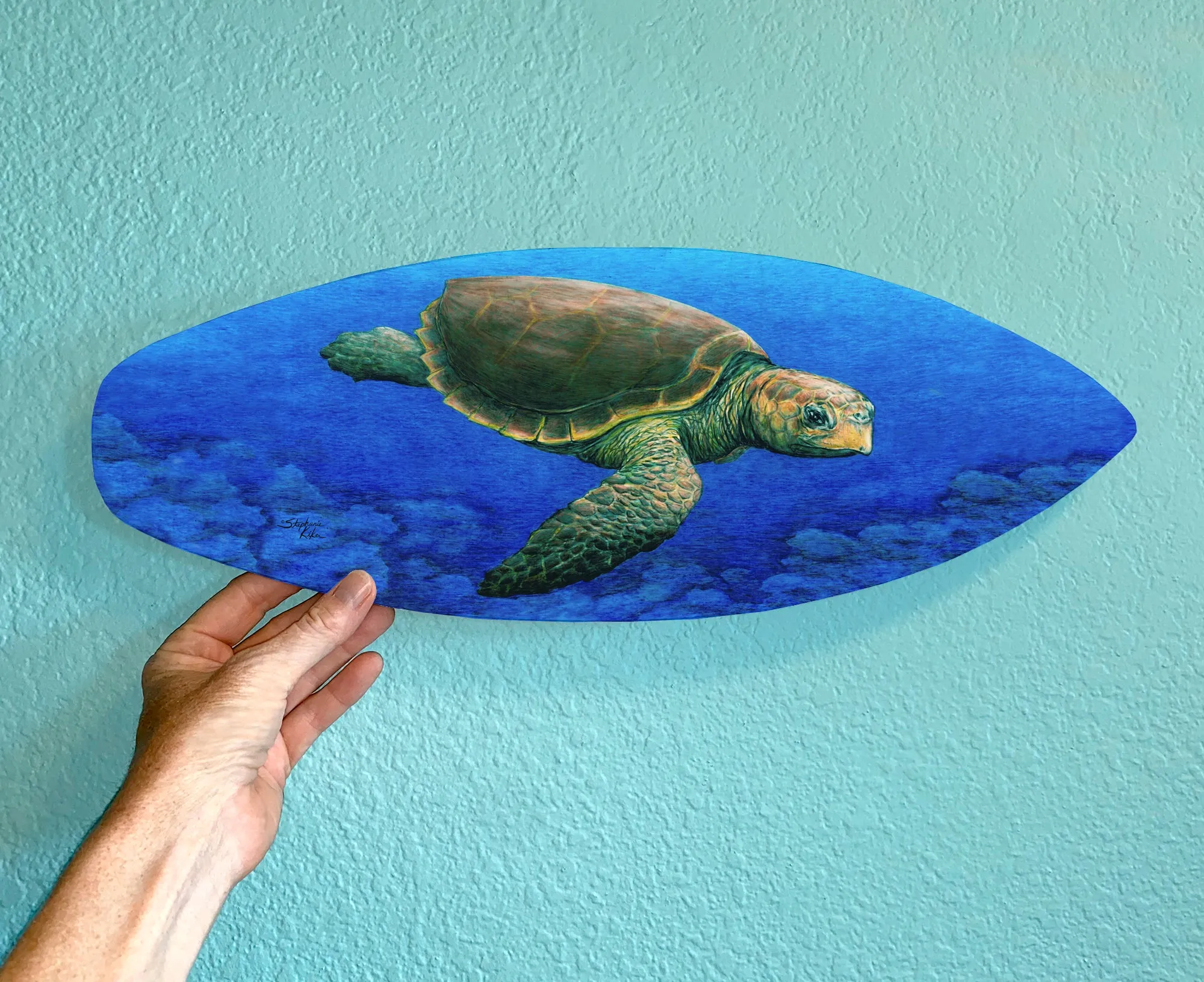 Loggerhead Turtle Surfboard Wall Art