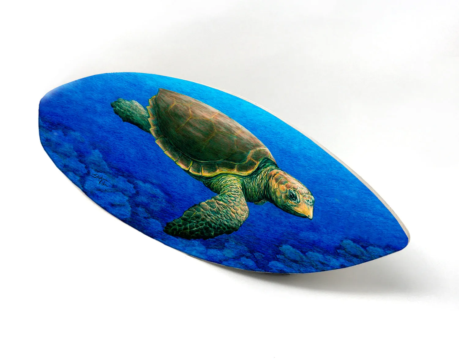 Loggerhead Turtle Surfboard Wall Art