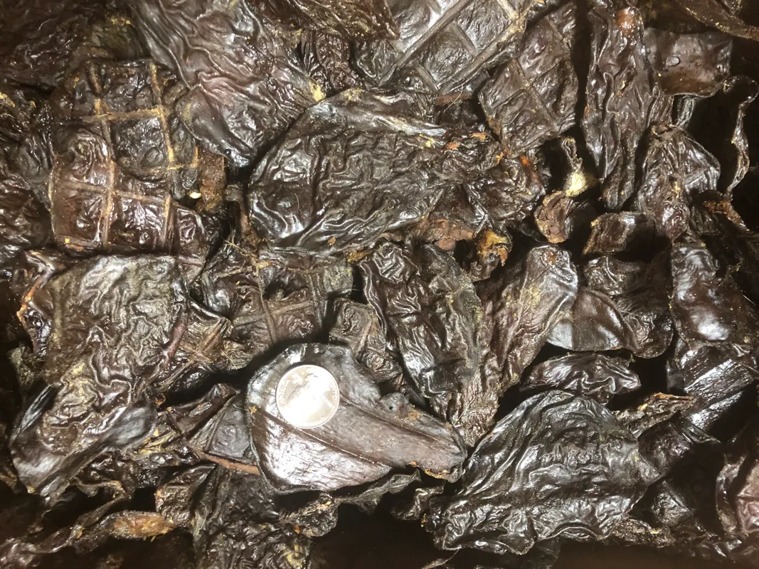TURKEY LIVER Dehydrated Treat**Pet Candy**