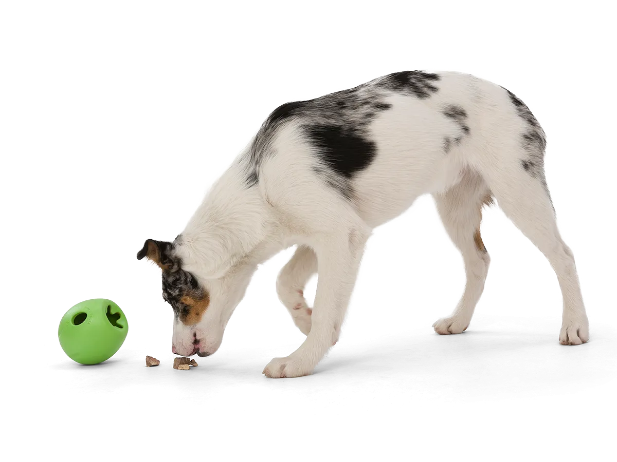 West Paw Rumbl Treat Toy